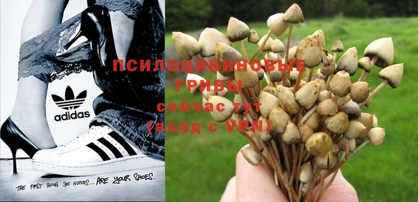 MDMA Premium VHQ Бугульма