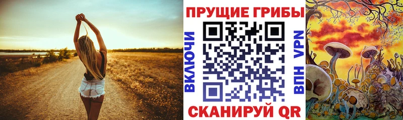 Псилоцибиновые грибы мухоморы Нарткала